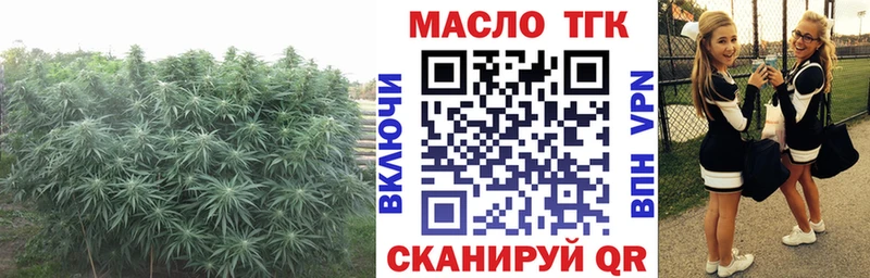ТГК Wax Зверево